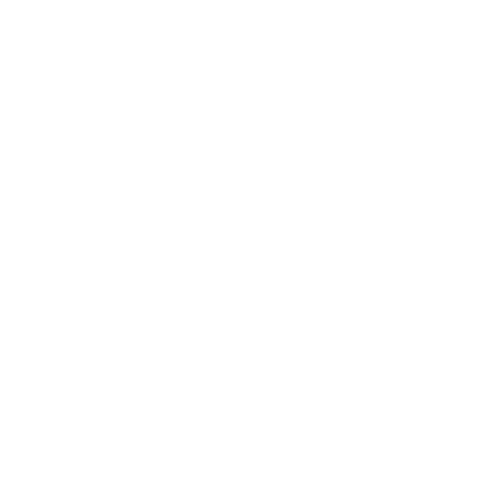BLANC SANS FOND POUR LOGO